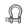 Bow Shackles